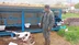 Konya Karapınar'da Başıboş Köpeklerin Saldırısı Sonucu Bir Buzağı Hayatını Kaybetti