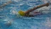 Niğde Merkez'de Gerçekleşen Aquathlon Yarışmasında 203 Sporcu Bilet Aldı