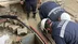 Samsun Havza'da Elektrik Dağıtım Şirketi YEDAŞ, Kesintisiz Çalışmalarını Sürdürüyor