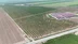 Hatay Reyhanlı'da Tarım İşçileri Bin 100 TL Yevmiye Alıyor