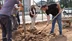 Düzce Merkez'de Eski Stadyum Yeni Yaşam Merkezi Olarak Yeniden Tasarlanıyor.