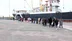 Samsun'da Büyükşehir Belediyesi Müzeleri 86 Bin 461 Ziyaretçiyi Ağırladı