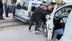 Van Gevaş'ta Kamyonetlerin Çarpıştığı Kazada 3 Kişi Yaralandı