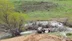 Sivas İmranlı'da Meydana Gelen Trafik Kazasında Araç Dereye Uçtu ve 5 Kişi Yaralandı