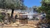 Muğla Bodrum'da Yaşlı Bir Çiftin Konteynerinde Yangın Çıktı, Yangın 2 Zeytin Ağaçlarına Zarar Verdi