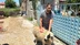 Erzincan Çağlayan Beldesi'nde Kaçan Kurbanlık Koyun 1 Saat Sonra Yakalandı