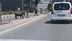 İstanbul Arnavutköy'de Kaçan Kurbanlık Dana Sokaklarda Panik Yarattı