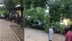 Tarsus Barajı Mesire Alanında Ağaç Park Halindeki Pikabın Üstüne Devrildi
