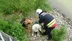 Ordu Altınordu'da Irmak Yatağında Mahsur Kalan 2 Köpek İtfaiye Ekipleri Tarafından Kurtarıldı
