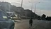Bursa Mudanya'da Başıboş Bir At Trafikte Tehlikeli Anlar Yaşattı