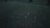 Kars Sarıkamış'ta Dronla Kaydedilen Ayı ve Köpeklerin Kovalamacası Görüntülendi