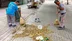 Alanya'da 9 Günde 10 Bin 578 Ton Atık Toplandı