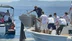 Muğla Bodrum'da Düzenlenen Etkinlikte 25 Bin Yavru Balık Bırakıldı