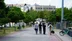 Kocaeli Üniversitesi Umuttepe Kampüsü'nde Sahipsiz Köpekler Hala Endişe Kaynağı