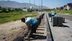 Niğde Merkez'de Yol ve Altyapı Seferberliği Hızla Devam Ediyor