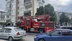 Bursa Mudanya'da Kurtarılan Karganın Arkadaşları Saldırgan Davranışlar Sergiledi