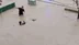Kırşehir'de Sel Sularına Kapılan Yaşlı Adam, Çevredekiler Tarafından Kurtarıldı