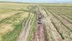 Siirt'te Hasat Dönemi Öncesi Arazi Yollarında Bakım Çalışmaları Yapılıyor