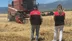 Balıkesir Edremit'te Buğday Hasat Mevsimi Resmi Olarak Başladı