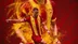 İzmir Göztepe'nin Yeni Transferi Andre Henrique Transferinden Dolayı Heyecanını Dile Getirdi