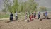 Erzincan'da Tarımda Çalışan Mevsimlik İşçiler Ailelerinin Geçimini Sağlıyor