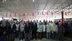 Denizli'de 6 Bin 317 Yetiştiriciye Toplam 32 Bin 895 Çuval Yem Desteği Sağlandı