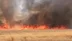 Şanlıurfa Harran ilçesinde 300 dönümlük buğday tarlasında çıkan yangın kontrol altına alındı.