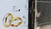 Diyarbakır Bağlar'da Kuyumcu Dükkanına Yapılan Saldırıda 16 El Ateş Edildi