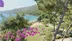 Muğla Bodrum'da Okulların Kapanmasıyla Sahillerde Yoğunluk Başladı
