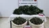 Antalya Serik'te Yapılan Uyuşturucu Operasyonunda 11 Kilo 100 Gram Esrar Ele Geçirildi