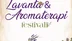 Didim Belediyesi 3-4-5 Temmuz'da Lavanta ve Aromaterapi Festivali Düzenliyor