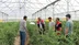 Erzincan Merkez'de Seracılık İşletmeleri Ziyaret Edildi ve İncelendi