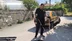 Çorum Alaca'da Park Halindeki Otomobilin Altındaki Yılan İtfaiye Ekipleri Tarafından Kurtarıldı