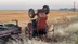 Şanlıurfa Suruç’ta Devrilen Traktörün Sürücüsü Burnu Bile Kanamadan Kurtuldu