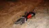 Otomobille çarpışan motosiklet şarampole savruldu: 1 yaralı - KARAMAN