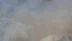Hierapolis Antik Kent yakınında örtü yangını - DENİZLİ