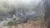 Bilecik’te örtü yangını büyümeden söndürüldü