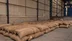 Fındıkta gözler yeni sezon fiyatında - ZONGULDAK