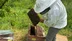 Artvin’de bal hasat sezonu öncesi üreticilerle buluşma
