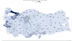2026’nın ilk 6 ayında ihracat 136,1 milyar dolara ulaştı - ANKARA