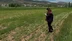 Aydıntepe'de 2026 Üretim Yılı Kapsamında Ürün Tespit Çalışmaları Sürüyor
