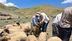 Hakkari Yüksekova'da Hayvanların Aşılama ve Kimliklendirme Çalışmaları Sürüyor
