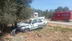 Balıkesir Havran'da Zeytin Ağacına Çarpan Otomobilde İki Kişi Yaralandı
