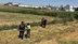 Manisa Saruhanlı'da Tarım Arazisine Kaçak Foseptik Deşarjı Yapan Şirket Belirlendi