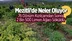 Mersin Mezitli'de 2 bin 500 Adet Limon Ağacı Söküldü