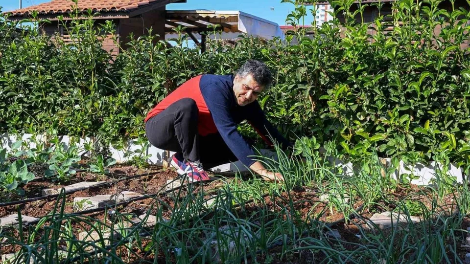 Mersin Büyükşehir’in Hobi Parkı Kışa Hazır: Lahana, Marul, Brokoli Toprakla Buluştu!