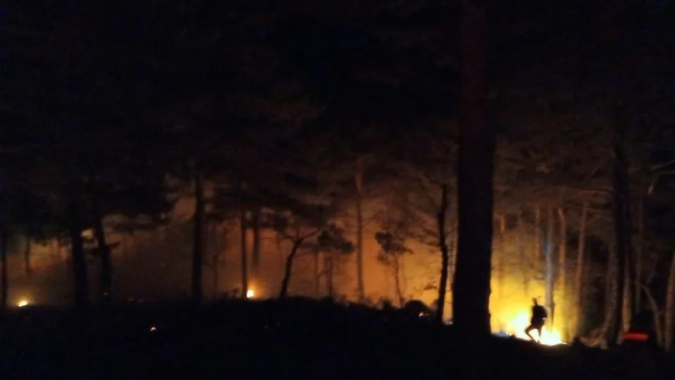 Fırtınaya Rağmen Müdahale: Bozyazı Orman Yangını Kontrol Altında