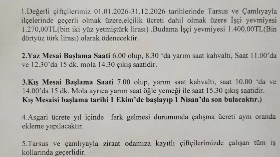 Tarsus Ziraat Odası 2026 Yevmiye Belirledi: Tarım İşçisi 1.270 TL, Budama İşçisi 1.400 TL!