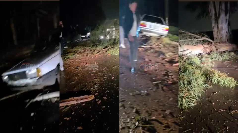 Tarsus Karabucak'ta "4 Kardeşler Ağacı" Aracın Üzerine Devrildi!