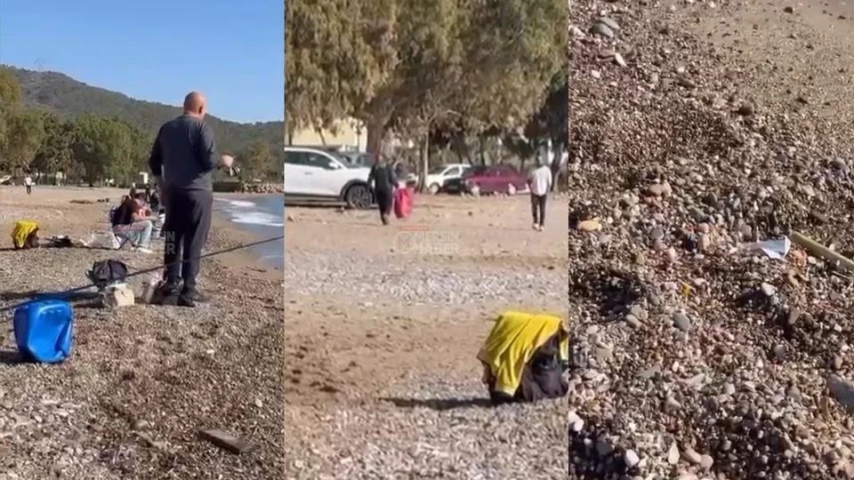 Gülnar’da Sahile Çipura Akını Çevre Kirliliğine Dönüştü!